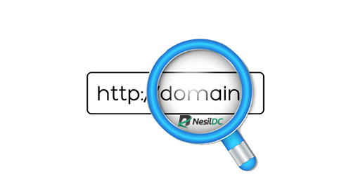 Domain Sorumlulukları Nelerdir ?