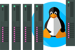 Linux Hosting Nedir? Neden Seçmelisiniz?